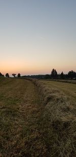 Scenic view of field against clear sky during sunset