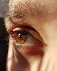 Close-up of woman eye