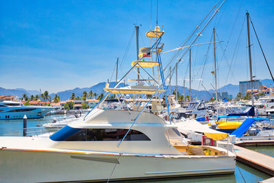 Sailboats moored at harbor