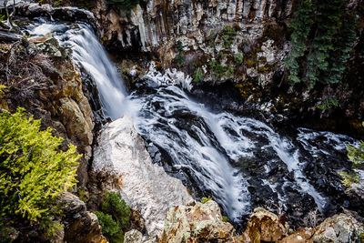 Scenic view of waterfall in forest