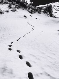 Aerial view of snow covered landscape