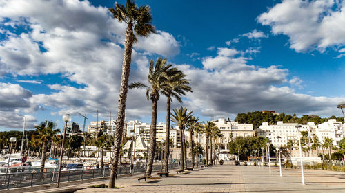 Road by palm trees and buildings against sky