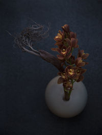 High angle view of flowering plant in vase