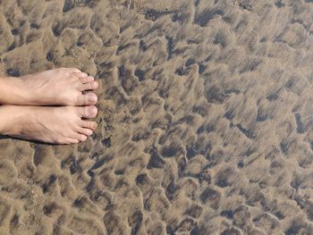 Low section of person on sand