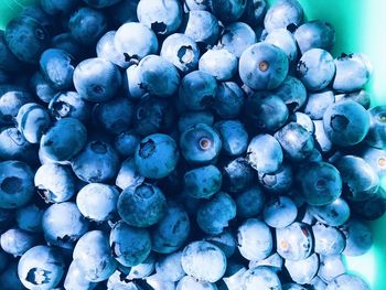 Full frame shot of blue berries