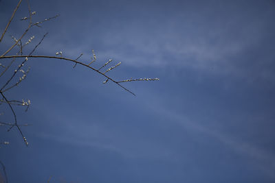 Low angle view of cloudy sky