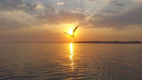 Silhouette of woman flying over sea against sky during sunset