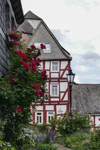 Exterior of house against sky