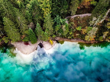 Aerial view of lake by forest