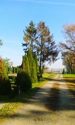 Road leading towards trees against blue sky