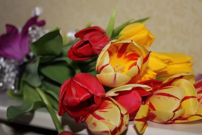 Close-up of multi colored roses