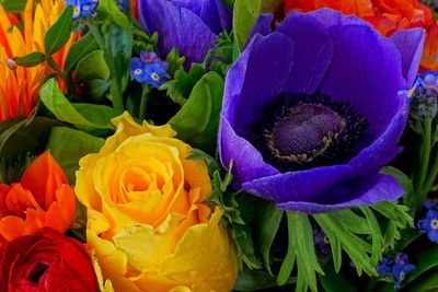 Close-up of fresh purple flower bouquet