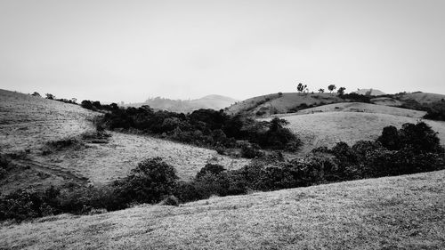 Plateus and fog