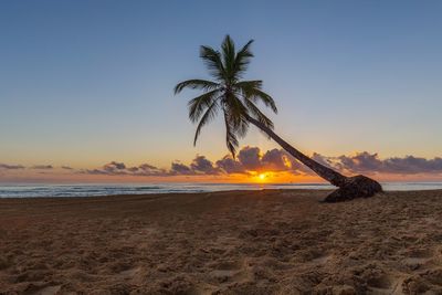 Scenic view of beach against sky during sunset