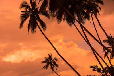 Low angle view of silhouette palm tree against romantic sky