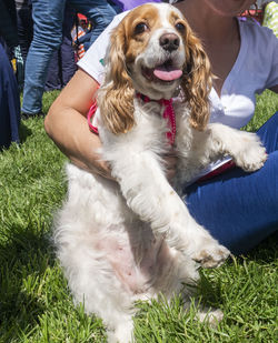 Low section of woman with dog