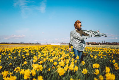 Rear view of person standing on narcissus field against sky