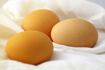 Close-up of eggs against white background