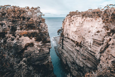 Coastline in tasmania