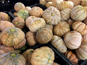 Full frame shot of pumpkins for sale