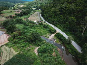 High angle view of road amidst trees in city