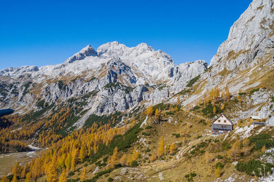 Scenic view of snowcapped mountains against clear blue sky