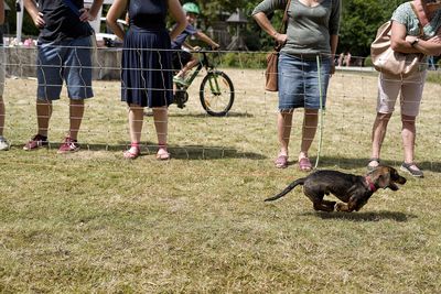 Low section of people with dog on field