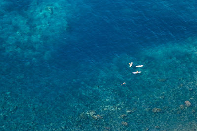 Aerial view of a group of people paddling. aerial shot