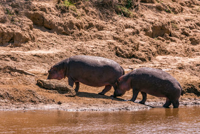 Side view of a drinking water