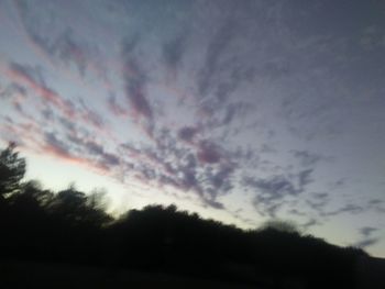 Low angle view of silhouette trees against sky at sunset