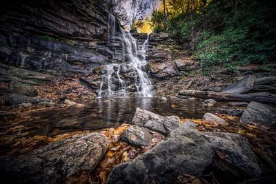 View of waterfall in forest