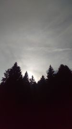 Low angle view of silhouette trees against sky