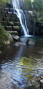 Scenic view of waterfall in forest