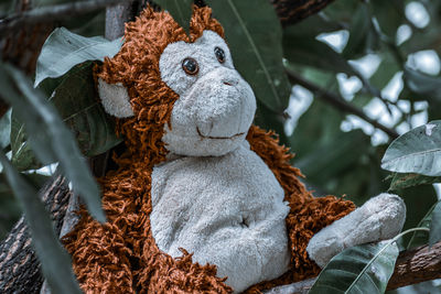 A stuffed monkey sitting on a branch of a mango tree