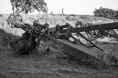 Horse cart on field against sky