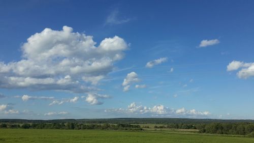 Scenic view of grassy field against sky