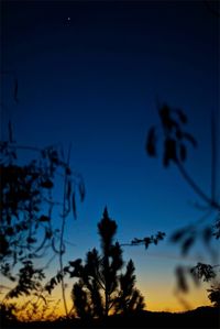 Low angle view of silhouette trees against clear sky