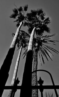 Low angle view of silhouette tree against sky