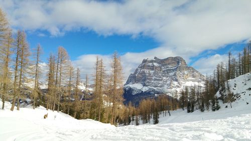 Scenic view of snow covered mountains