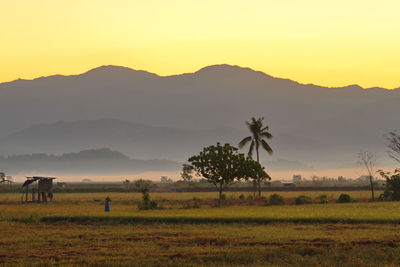 Scenic view of field against sky during sunset