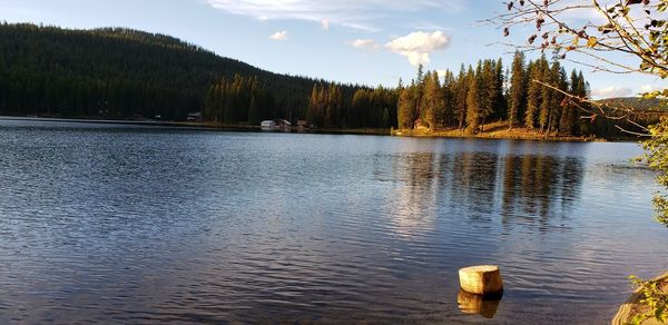Scenic view of lake in forest against sky