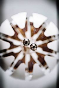 Close-up of white flower on table