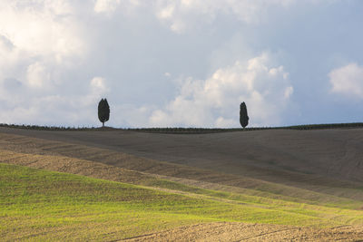 Scenic view of agricultural field against sky