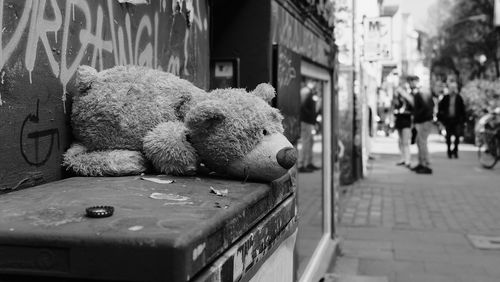 Teddy bear on street