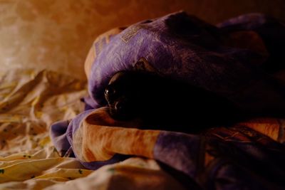 Close-up of chocolate cake