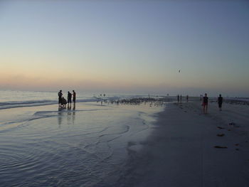 Scenic view of beach at sunset