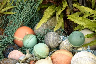 High angle view of fruits
