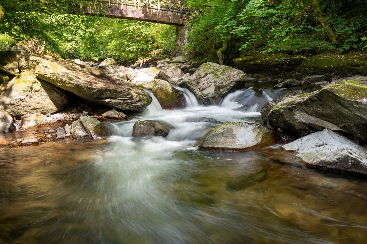 VIEW OF WATERFALL IN FOREST