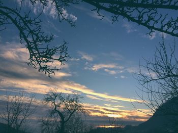 Low angle view of silhouette tree against sky at sunset