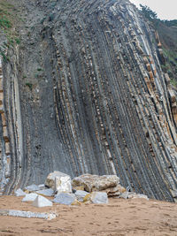 View of rocks and trees in forest